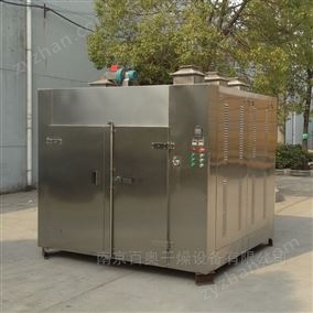 CT-C-II热风循环烘箱